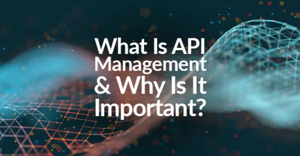 API Management: What Is It & Why Does It Matter?